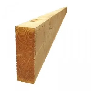 Douglas 100x300 mm de 4.00 à 10.00 m Brut + 2 jours